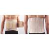 Elastic Back Supports with Stays (High Back)