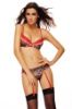 Embroidery Lace Bra with Garter Belt