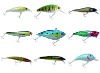 Fishing Lure