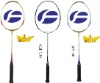Flexpro ACM series badminton rackets
