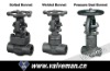 Forged Steel Gate Valve