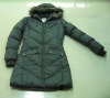 Ladies overcoat (lady's coat, ladies apparel)
