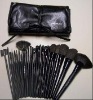 MAC Professional 24 pc Makeup Brush Set with free Case