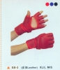 MMA Gloves