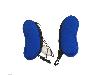 Neoprene eyeglass case