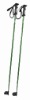 Nodic Walking Pole