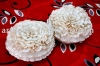 Round Cushion