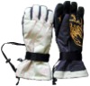 Snowboard / Winter / Sports / Ski Gloves V3933