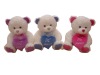 Stuffed  Bear