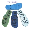 TG-18E2551 FLIP FLOP