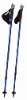 Trekking Pole