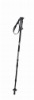 Walking Stick