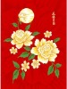 blanket