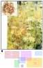 cnidium monnier extract