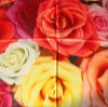 digital printing,silk digital printing