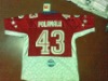 football jersey, Pittsburgh Steelers football Jerseys, Pro Bowl football jersey,Pro Bowl jersey,All Star jersey->Paypal Accept