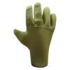 glove