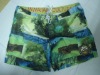 men's all-over printing beach short