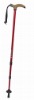 nordic walking stick