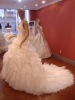 2009 Fashion new style wedding dress--hsc0024