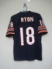 2009 TOP SELL!lfootball jerseys,all teams of football Jersey,football jerseys in stock,wholesale sport jerseys,accept paypal