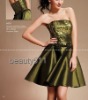 2009  prom gown evening dress  PV1045