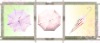 23'' x 8k ladies umbrella with net