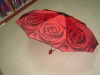 3 fold AO/AC umbrella