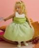 B-236  New Style flower girl's dress flower girl dress girls' gown