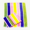 Beach Towels