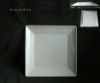 Biodegradable Plate