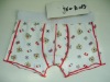 Boy's Boxer