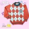 Boy's Pullover Sweater (02080120)