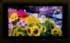Brand touch lcd tv(09 new design,hot)