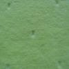 CVC Velour Jacquard
