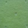 CVC Velour Sheared Jacquard