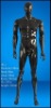 CW-1 highlight mannequin,male mannequin,model