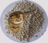 Cat Litter, pet products, Attapulgite
