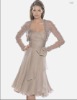Charming & Beauteous evening  gown     ED2162