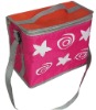 Cooler bag,Ice Bag,promotional cooler bag,Non-woven Bag