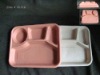 Disposable Meal Dish