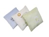 Embroidery  Cushion