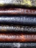 Fashion  Leather