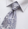 Fashion Silk Tie