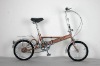 Folding Bike