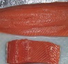 Frozen Chum Salmon Fillet