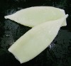 Frozen Squid Tube