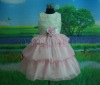 Girl's party dress