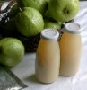 Guava Pulp