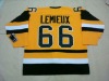 Hockey  Jersey   Penguins Mario Lemieux  #66 Premier yellow Jersey Accept Paypal